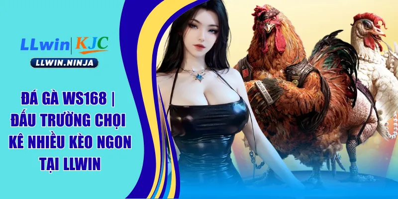 đá gà ws168