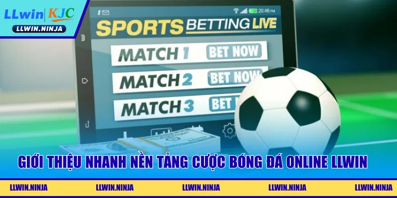 Giới thiệu nhanh nền tảng cược bóng đá online LLwin