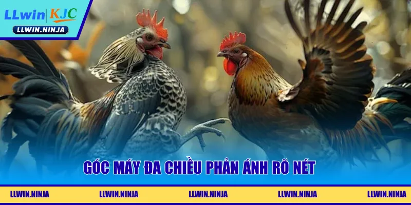 Góc máy đa chiều phản ánh rõ nét