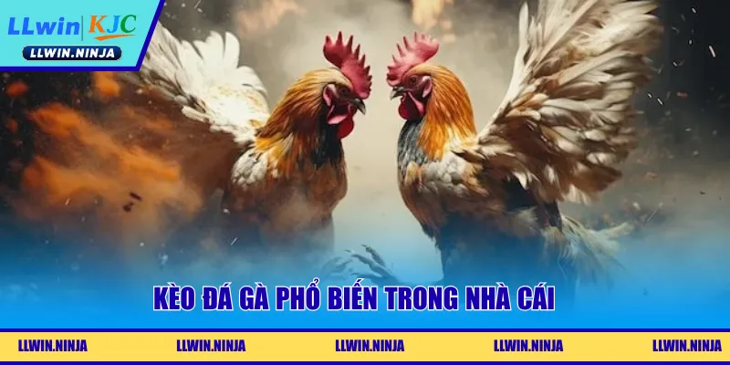 Kèo đá gà phổ biến trong nhà cái