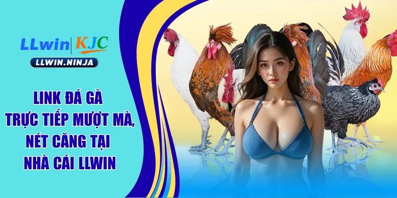 link đá gà trực tiếp