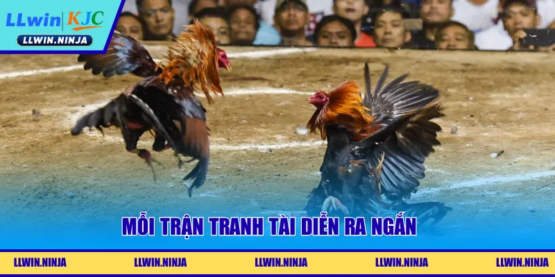Mỗi trận tranh tài diễn ra ngắn