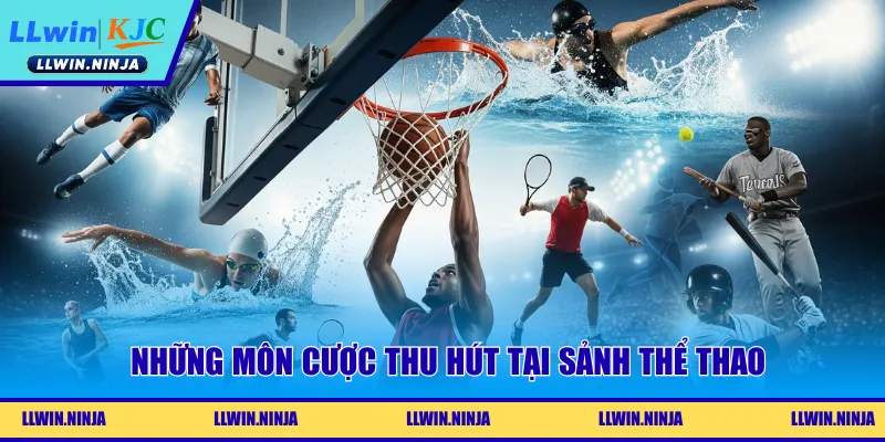 Những môn cược thu hút tại sảnh thể thao